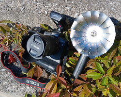 EOS R Godox Lux Master